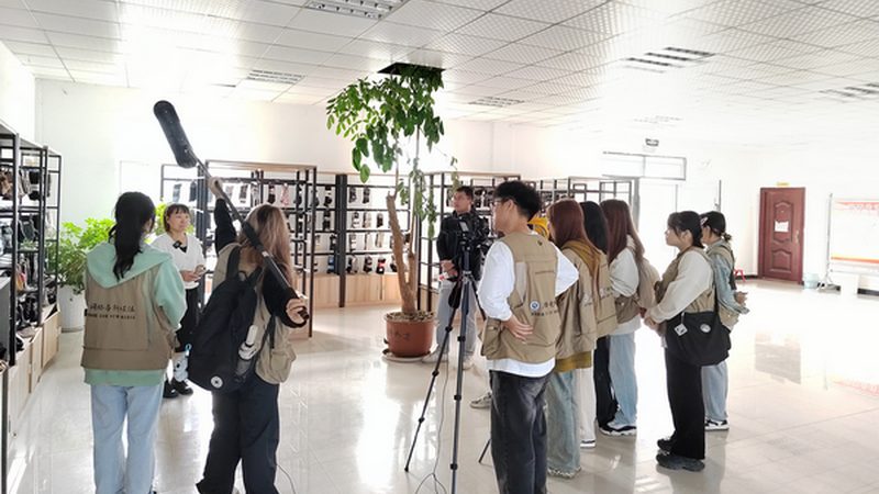 MG动画素材制作：如何挑选优质供应商